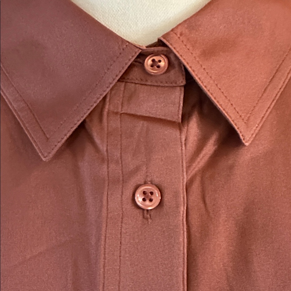 Quince Button-Front Shirt in Rust Brown - Picture 4 of 6